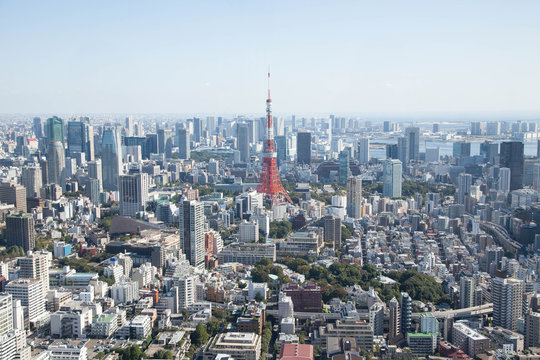 Tokyo Tower and urban landscape