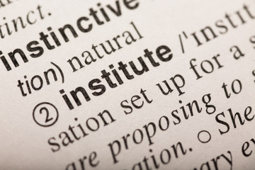 Institute - word in dictionary