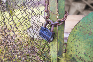 Rusty old padlock and chain on a green  fence