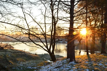 Foto auf Leinwand Peaceful morning sunrise through trees and over frosty pond © redtbird02