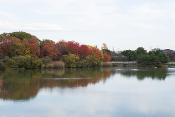 杁ヶ池　紅葉