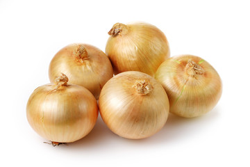 たまねぎ　Onions