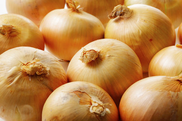 Fototapeta premium たまねぎ Onions