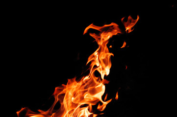 Fototapeta premium burning fire flame on the black background