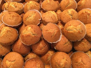 bread food