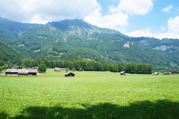 Fototapeta na wymiar Alps and mountain with green meadow field