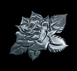 Silver rose flower on black background. Element for design. 