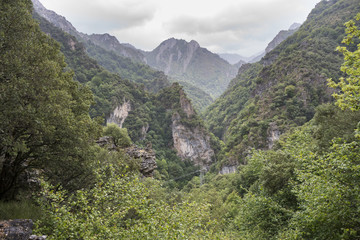 Fototapeta na wymiar Woodlands in Somiedo Valley, Somiedo Nature Reserve. It is located in the central area of the Cantabrian Mountains in the Principality of Asturias in northern Spain