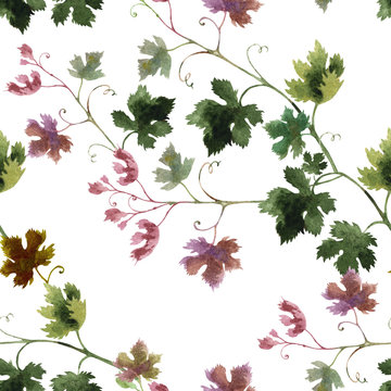 Seamless pattern of grape branches, watercolor