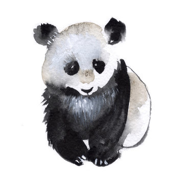 Small panda isolated on a white background, watercolor