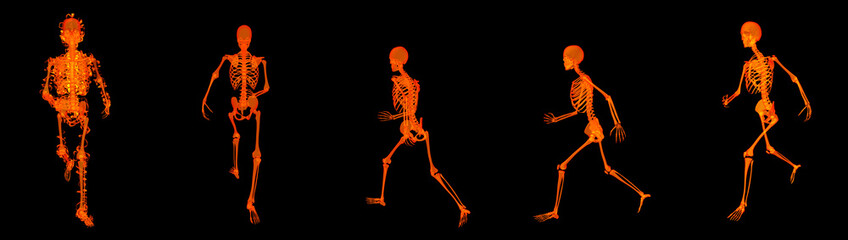 3d render walking fire skeleton by X-rays in red