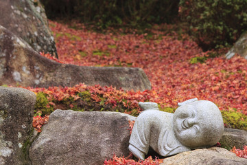 Little buddha