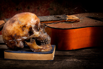 skull and guitar,book on old wood, still life