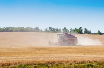 Fototapeta na wymiar Combine harvester in the field. Harvest