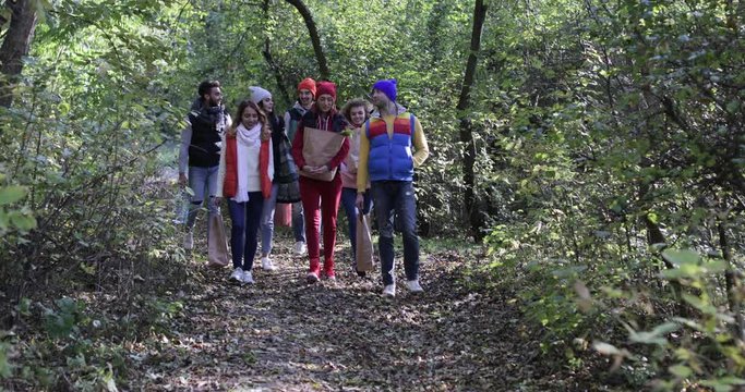 Young People Group Walk Outdoors In Autumn Park, Friends Holding Forest Path Picnic Bags Speaking Communication Slow Motion 60