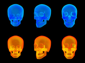 3d render of the human x ray skull
