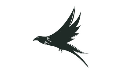 Obraz premium piegon vector1