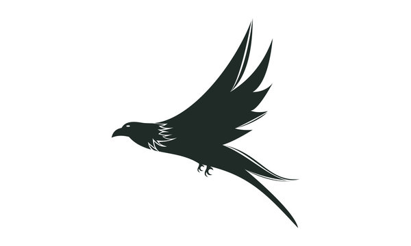 piegon vector1
