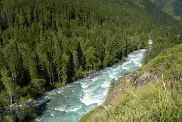 Kucherla river in Altai Mountains, Siberia, Russian Federation