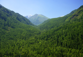Alpine landscape in Altai Mountains, Siberia, Russian Federation