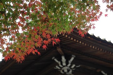 和風テイストな風景