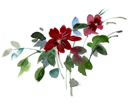 Small Bush Of Red Flowers Isolated On A White Background, Waterc