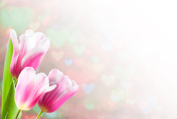 Obraz na płótnie Canvas Valentines Day Background with Tulips