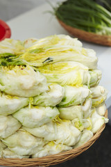 Obraz premium kimchi 