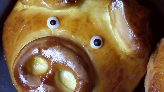 Gl&uuml;cksschweinchen - Neujahrsschweinchen