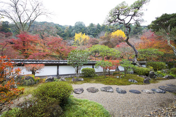秋色の庭園