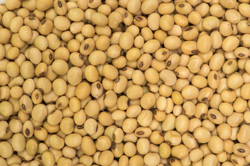 Prepared soy bean for cooking and background