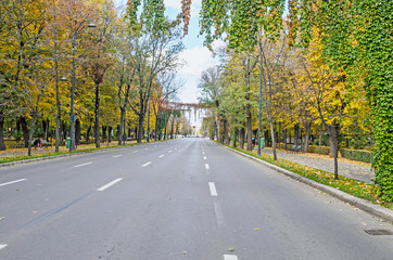 Autumn time in outdoor park with colored yellow orange trees, leaves and iedera