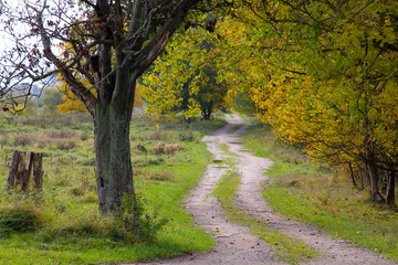 The path into the autumn colors in October