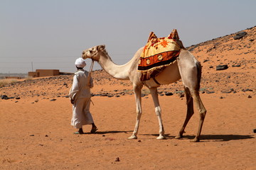 Karawane in der Sahara vom Sudan bei Meroe  