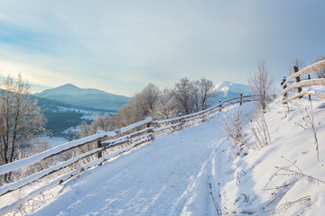 Winter road and trees covered with snow