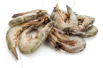 fresh shrimp or prawn on white background