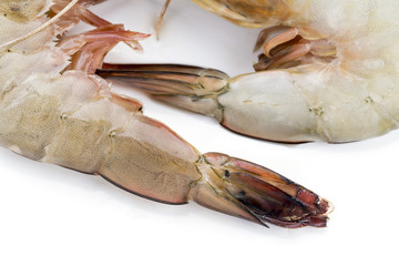 fresh shrimp or prawn on white background