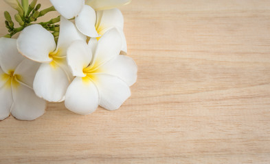 Obraz na płótnie Canvas frangipani flower on a wooden background..