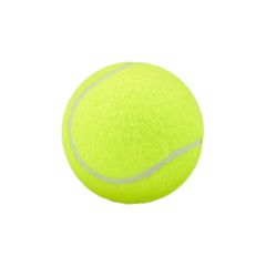 tennis ball on white background. tennis ball isolated. green col