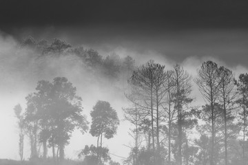 High mountain and fog in the morning ,black and white style