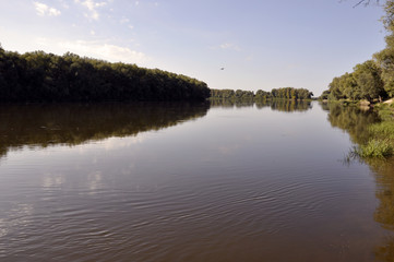 Summer river with trees on each coast