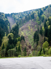 carpathian mountains in summer