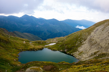 Fototapeta na wymiar carpathian mountains in summer