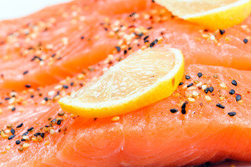 fresh salmon.Norway