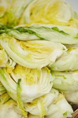 Pile of Chinese cabbage 