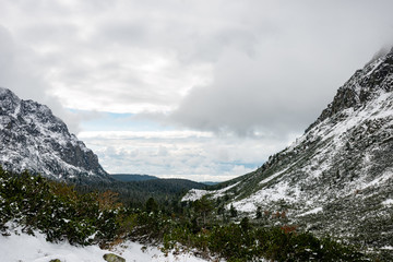 carpathian mountains in winter snow