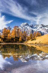 Fototapeta na wymiar Autumn in the alps ( Alpe Devero Italy )