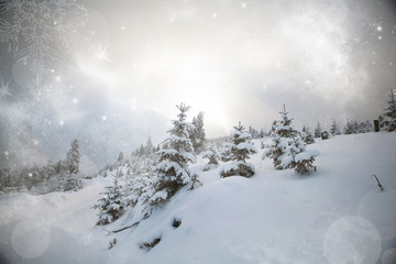 Fototapeta premium Fantastic winter landscape