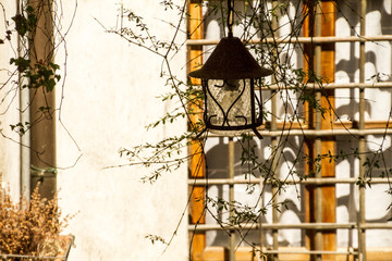 Barga, dettagli