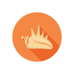 Sea shell color icon. Flat design for web and mobile